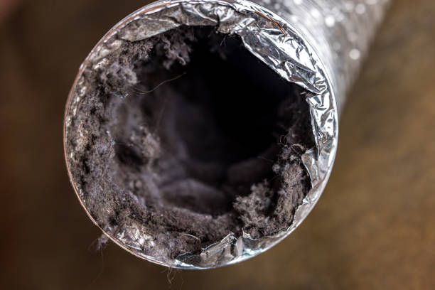 Best Affordable Duct Cleaning Services  in Caribou, ME